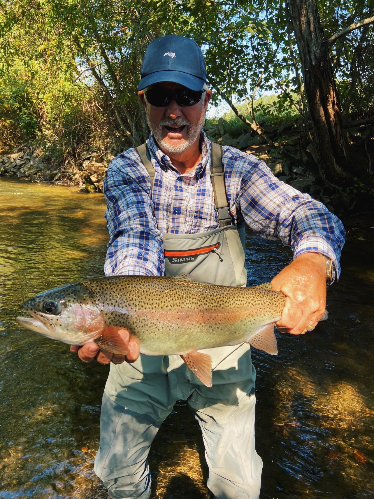 Dry Fly Rainbow Trout
