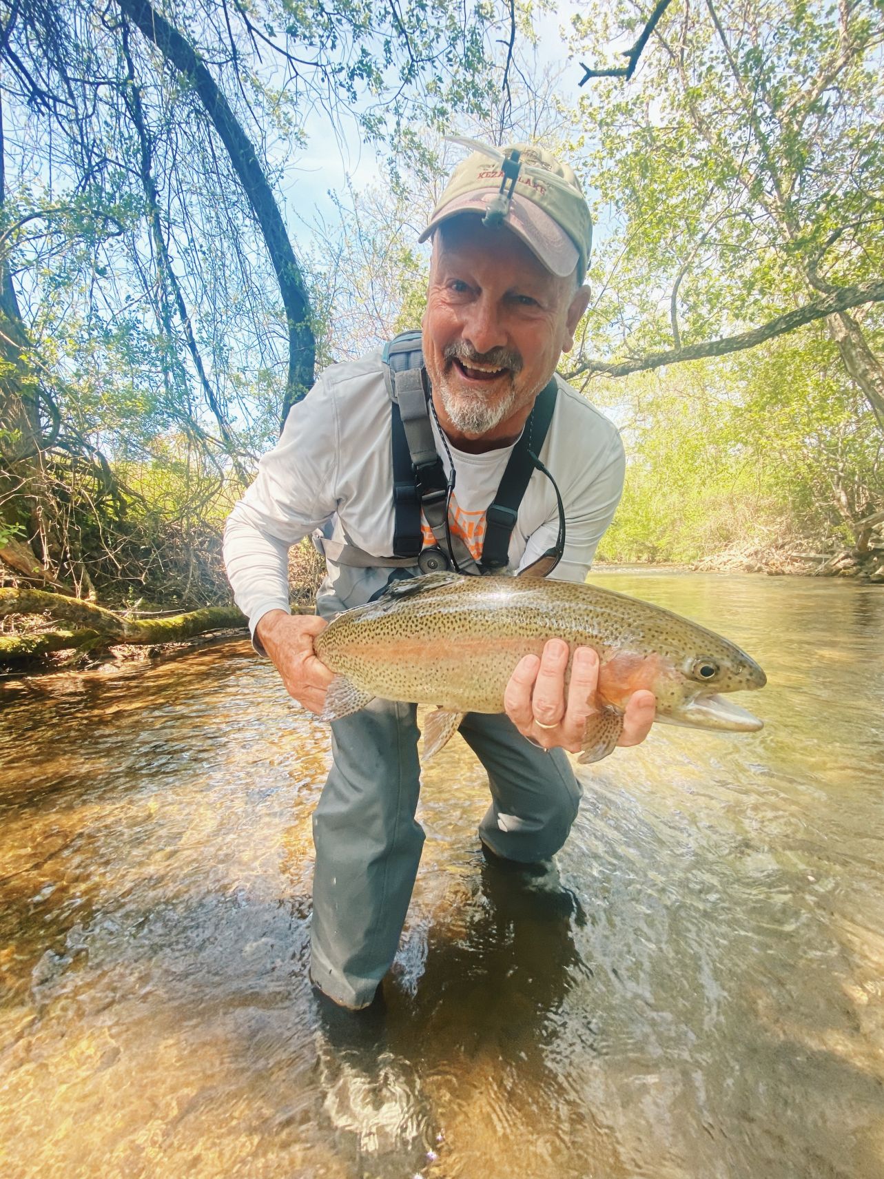 North Mills River Rainbow 