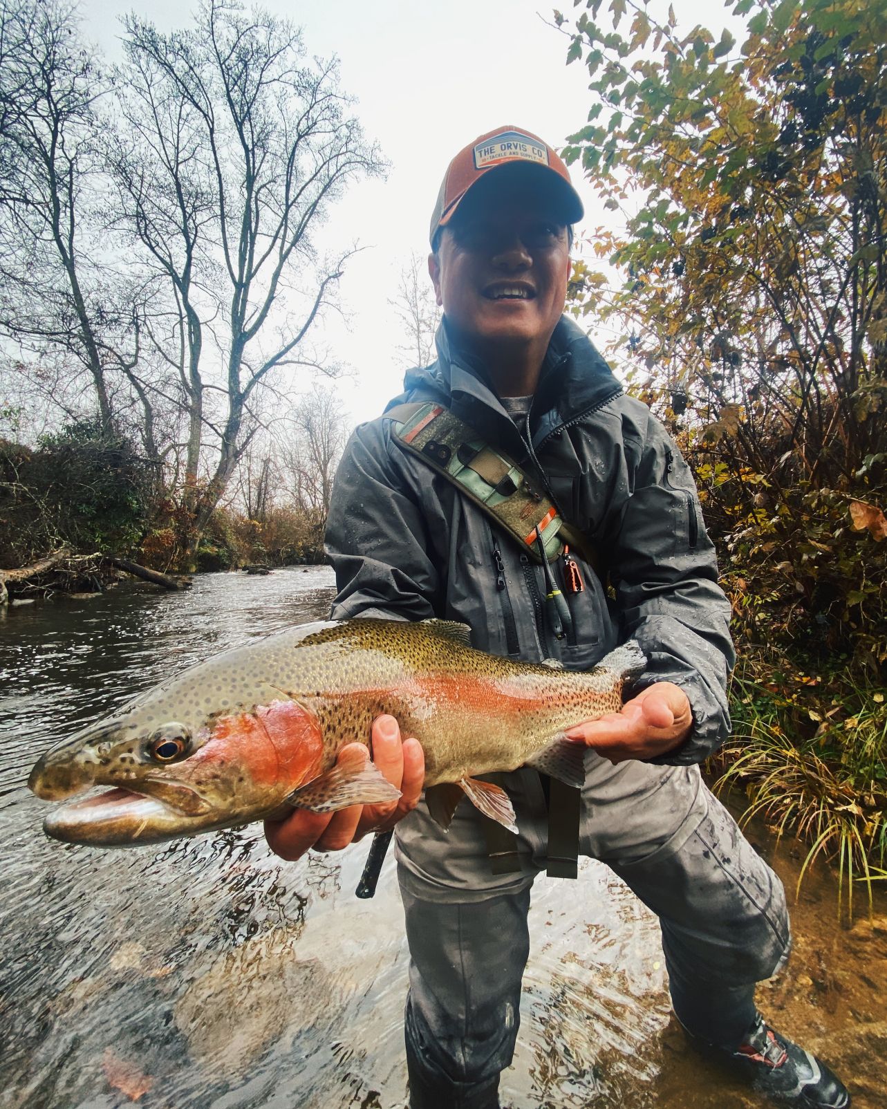 Rainy Day Rainbow Trout 