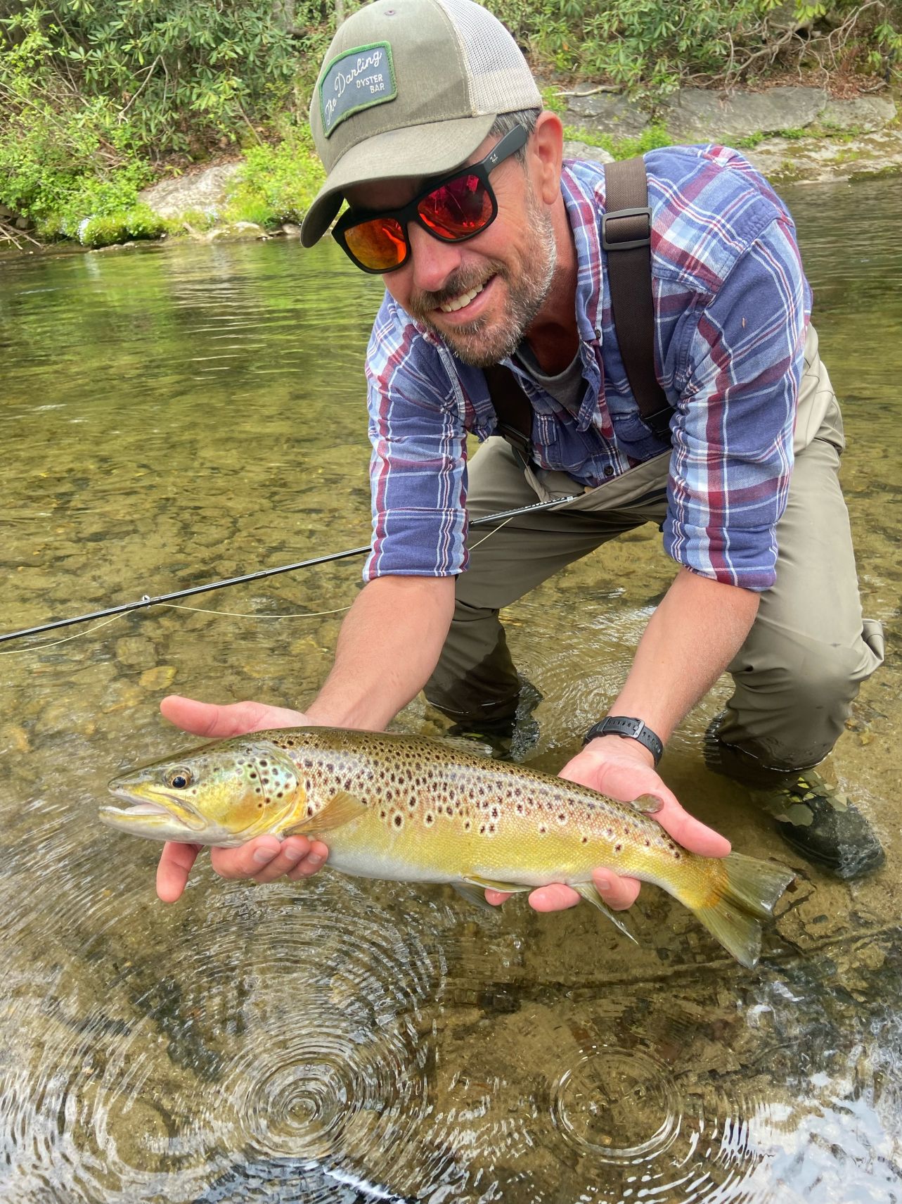 South Mills Brown Trout 