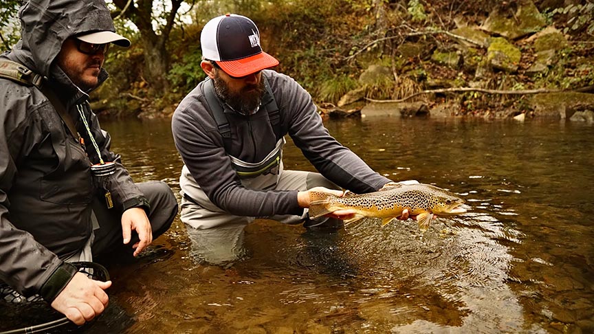 Guided Fly Fishing Trips