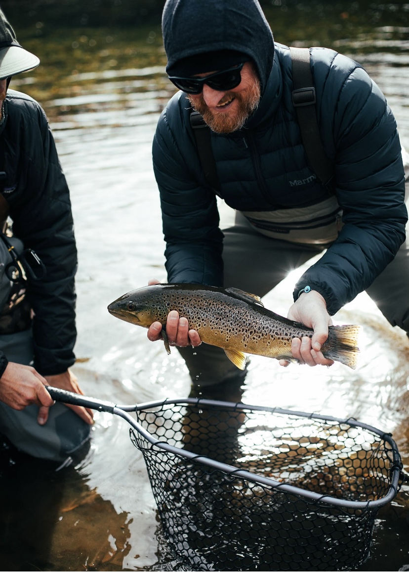 Guided Fly Fishing Trips